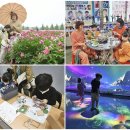 GR(고령군)-[성산로]-하-17 | 대구 근교 가볼만한곳 고령 아이랑 갈만한곳 5곳