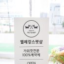 엘레강스펫샵 이미지