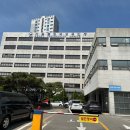 나눔 글로벌 행정사사무소 이미지