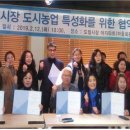 도일시장 이미지