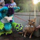 유독 인기가 많다는 ENFP - INTJ 관계성 짤모음.jpg 이미지