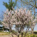 서전주유치원 이미지