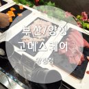 비비큐치킨(부산양정점) | 부산 양정 / 모임으로 방문하기 좋은 스시뷔폐 맛집...뷔페 맛집 '고메스퀘어 양정점' (내돈내산 솔직후기)