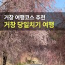 당구마을 | 거창 당일치기 여행 코스 벚꽃 명소부터 맛집 임불마을 병곡마을까지