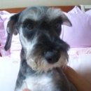 함박마을 공영주차장 이미지