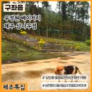 여기엇댕 이미지