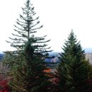 펜션누리 이미지