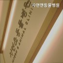 자연앤동물병원 | 수원 이의동 동몰병원 자연앤동물병원 반려동물 전문 병원