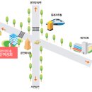 온천3동-17 Daum카페