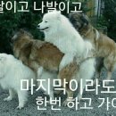 복 - 동구 부산진성공원로 24 | 복