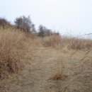 해맞이 민박 이미지