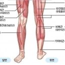 퍼펙트짐#2 이미지