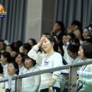 와동체육관 이미지