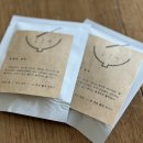 단비고집 이미지