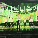 승연하다 Daum카페