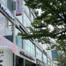 광주 상무지구에스테틱) 광주신부관리 [에스테티아 상무1호점] 윤곽관리 후기!!!