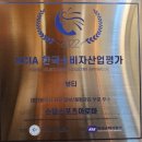 손담바디케어