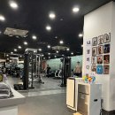 엘바디핏 이미지