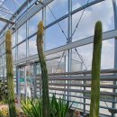 안산 식물원 이미지