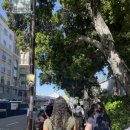 성식축사 | 🇺🇸🐻유씨 버클리 | 미국 교환학생 일상 #13 | 유난히 부지런했던 4월의 마지막 주