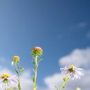 그린목장 이미지