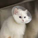 모두애동물병원 이미지