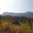 부흥정
