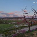 연천 통나무 펜션 이미지