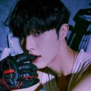 씨아이엑스 카카오 검색결과