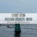 새천년공원길 | [포항 여행] 포항 볼거리! 호미곶 해맞이 공원, 상생의 손, 새천년기념관