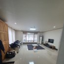 데일리랜드 이미지