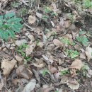 현동농장 이미지