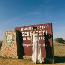 타이어사자 | 탄자니아 여행 세렝게티 사파리투어 치타 사자와 시작하는 게임드라이브