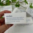 주식회사 레아 | 2주 집중관리 코클레아 기미보습 앰플 무자극화장품