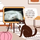 우신동물병원 이미지