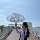 (주)산해진미푸드 경인지사 | 한국관광공사 경인지사 가봄 최종우수자 선정! 2기 활동 후기
