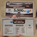 안동체육관 | [봉사활동] 경북 안동 2026 월영야행 후기!!