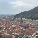 성은약국 | 독일 프랑크푸르트 근교 여행 하이델베르크성 당일치기 후기 전망대 관람포인트