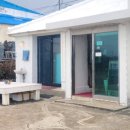 1940 | [제주] 푸른 바다 풍경이 보이는 구좌 카페 '하도 1940' 내돈내산 후기