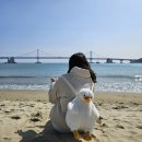 송현시장꽃집 | 2024년, 행복한 나날들.