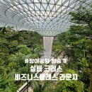 창이공항 환승 싱가포르항공 비즈니스 (스카이트레인, 쥬얼창이, 실버크리스 라운지)