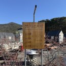 가덕 코이 이미지