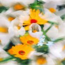 영광목장(3) 이미지