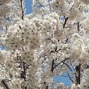 생명예찬1 이미지