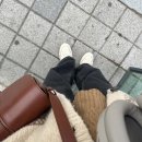 윤진농장 이미지