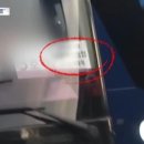 코끼리유흥주점