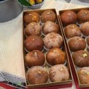 우암동물병원 이미지