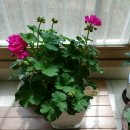 태겸농장 이미지