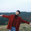 진영비디오 이미지