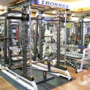 아이언렉스 이미지